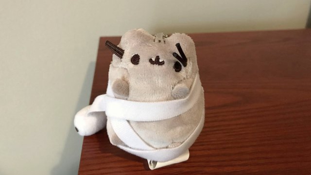 pusheen tp.jpg