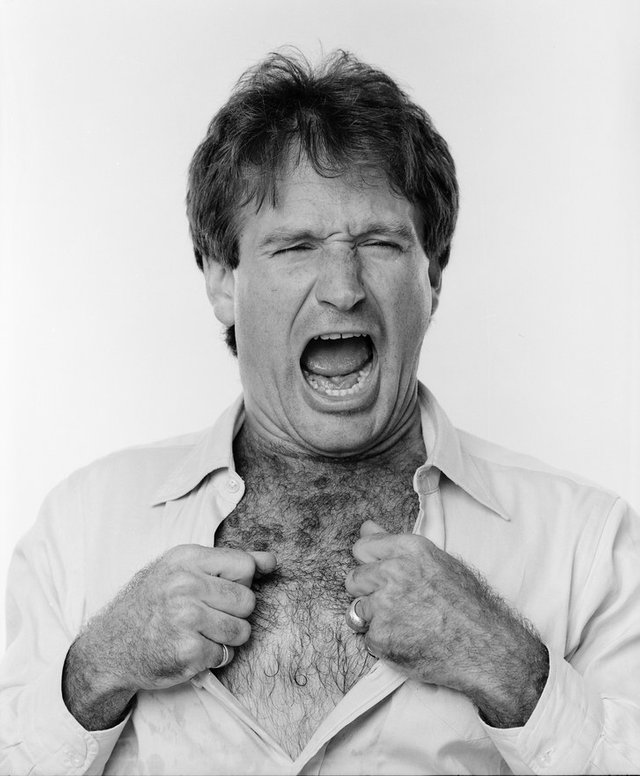 Leblanc-Robin-Williams-21.jpg