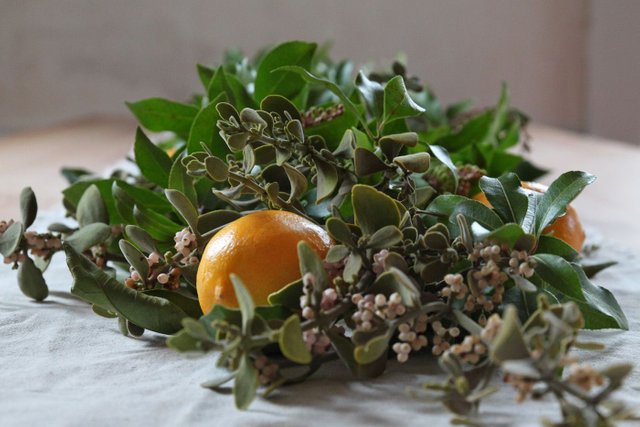 mistletoe-and-meyer-lemon-garland-finished-detail-2-by-Justine-Hand-for-Remodelista.jpg