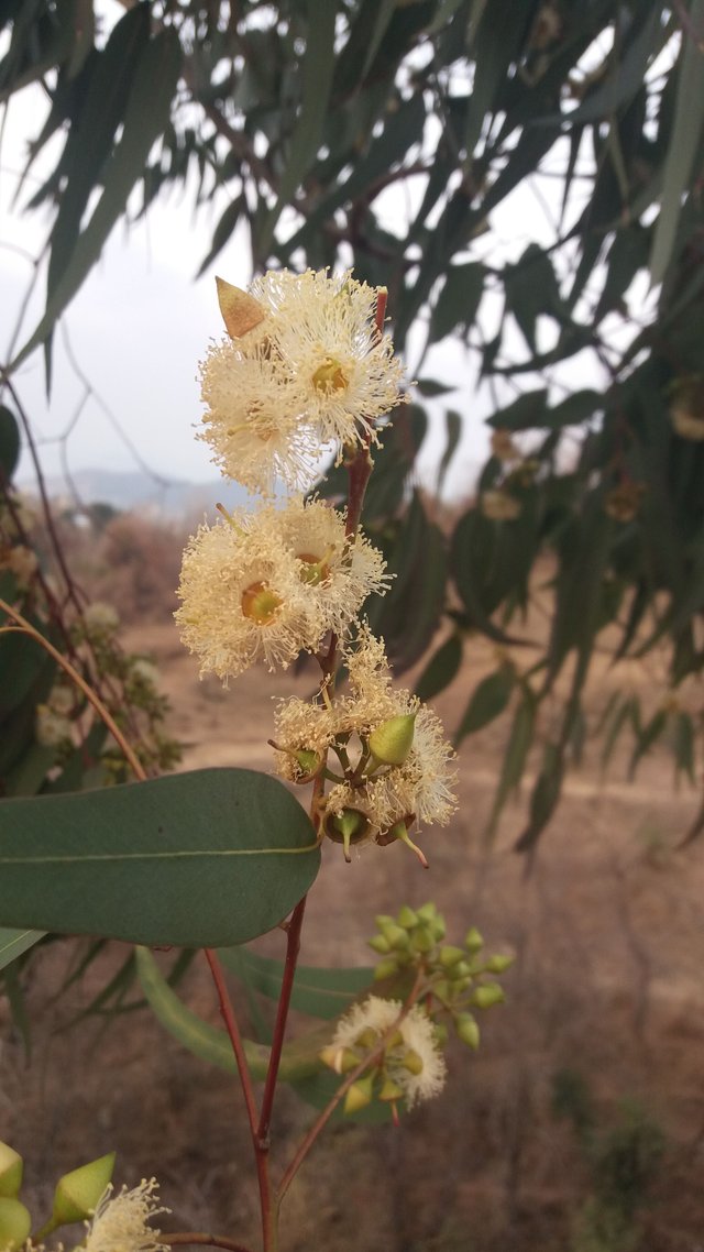 20180215_165224.jpg