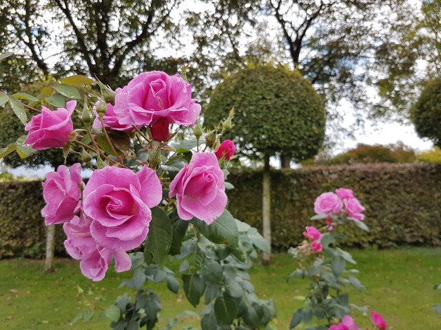 20171009_134634.jpg