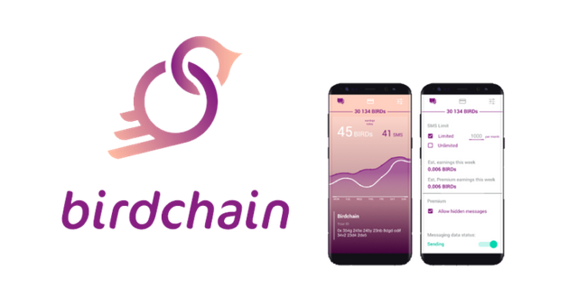 birdchain-ico-768x407.png