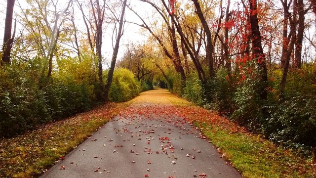 Bike Path.jpg