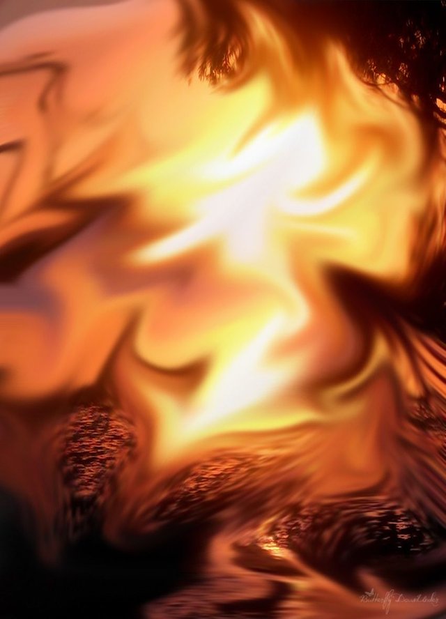 14786921_10154766212909155_466822571_o.jpg