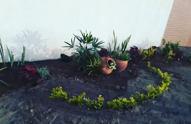 jardin.png