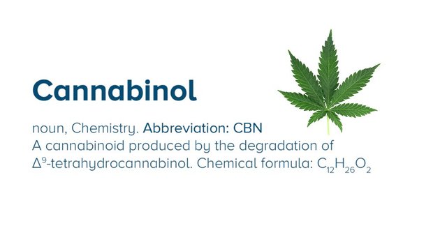 cannabinol-cbn-review-everything-you-need-to-know.jpg