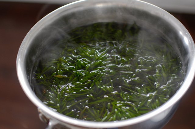 seaweed-2.jpg