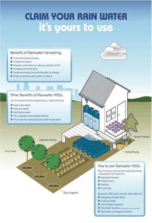 flush-toilet-rainwater-harvesting.jpg