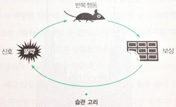 습관의 힘에 대한 이미지 검색결과.jpeg