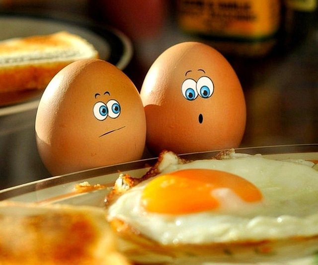 Egg-wallpaper-9645290.jpg