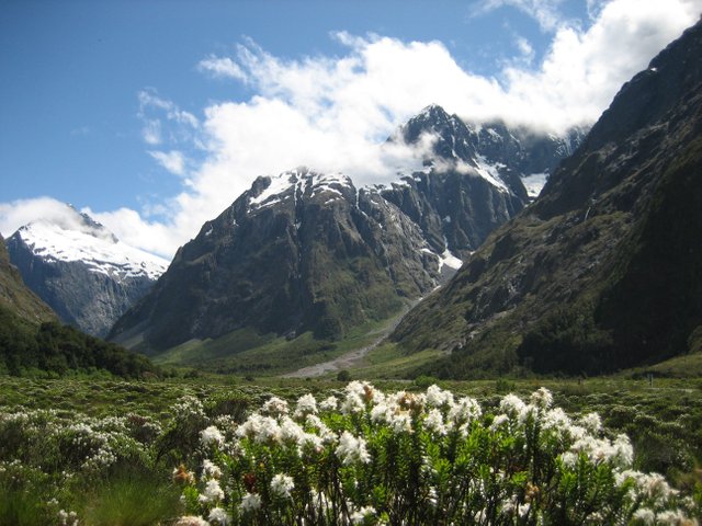 Fiordland_National_Park,_New_Zealand.jpg