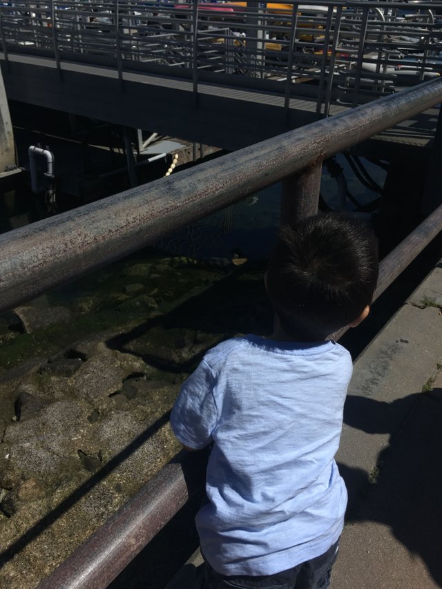 23727AFA-66DC-45E8-972D-F26068A663E8.jpeg