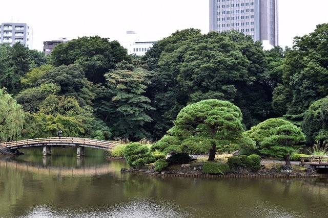 shinjuku-3.JPG