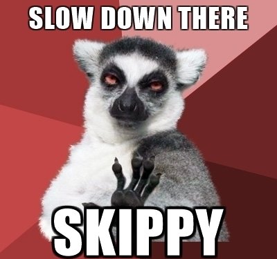 slow-down-there-skippy.jpg