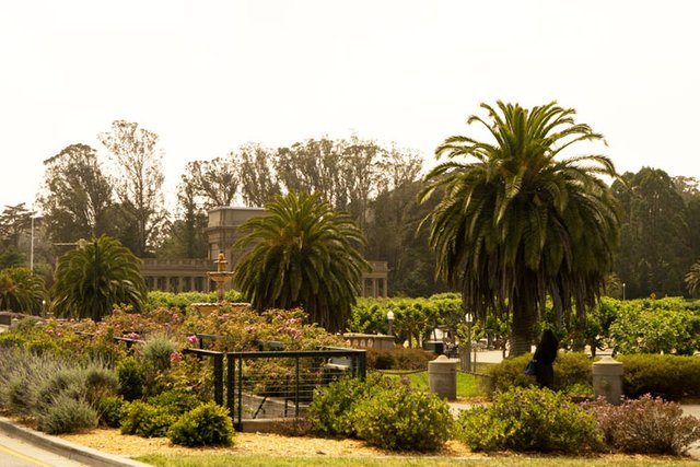 GoldenGatePark.jpg