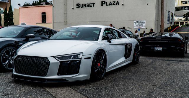 Mrcash r8_.jpg