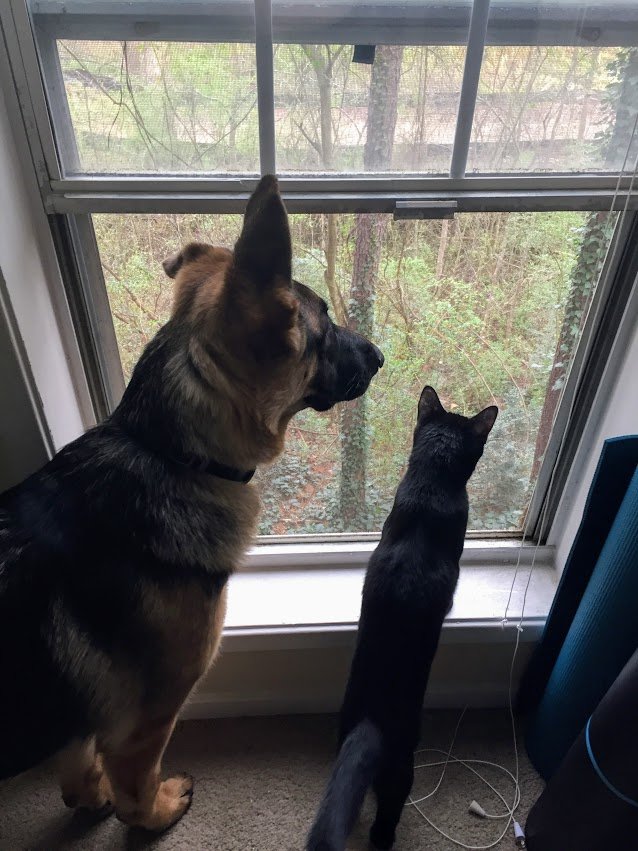 Nidalee and Skye.JPG