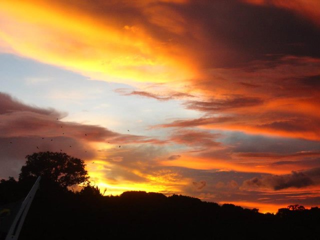 Amaon Sunset.jpg