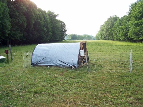 New pasture coop finished crop June 2015.jpg