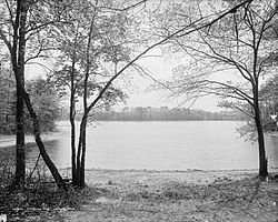 250px-Walden_Pond.jpg