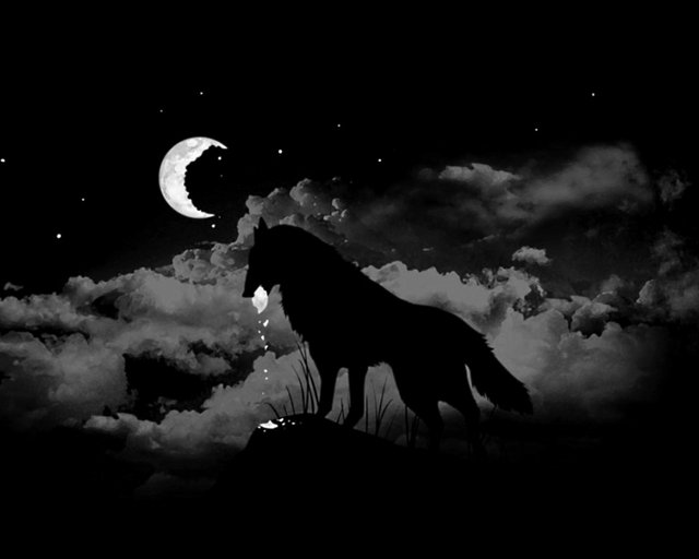 wolf-darkness-desktop-background.jpg