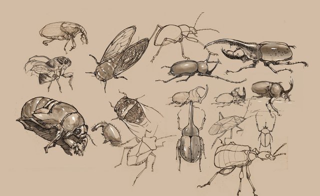 insects1.jpg