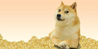 doge.png