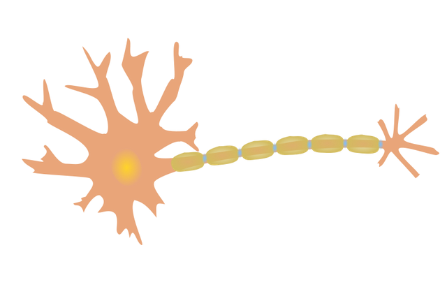 phreed-single-neuron-800px.png