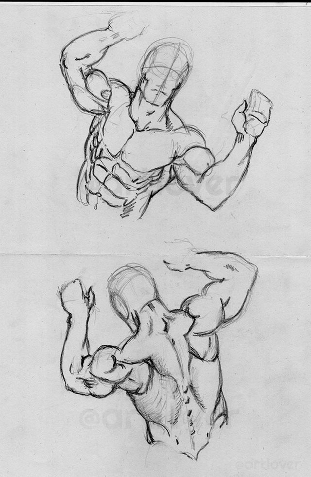 Structures and Planes of the Figure  Classic Human Anatomy in Motion The  Artists Guide to the Dynamics of Figure Drawing