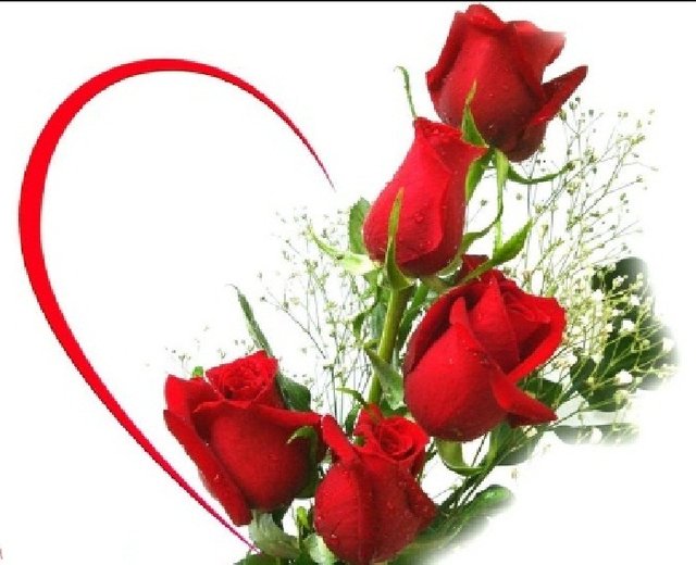 11 rose images with love. Red RosesRose FlowersRose.jpg