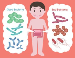 What-are-probiotics-300x231.jpg