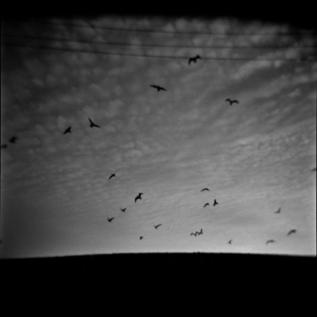 Fomapan_400_3_Holga_by_Victor_Bezrukov-9.jpg