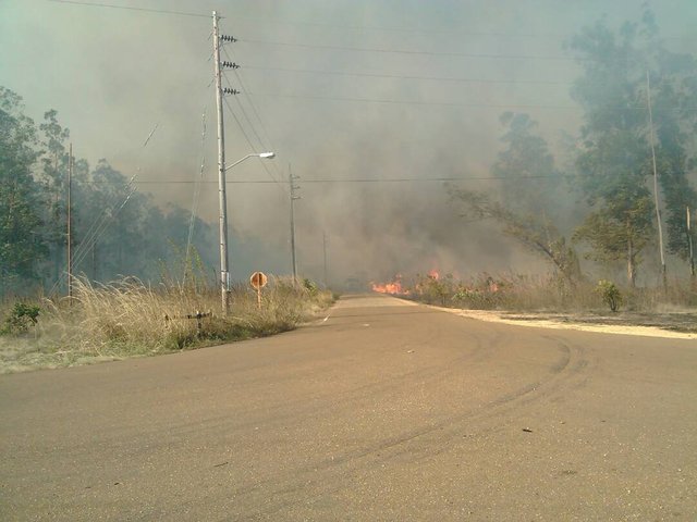 INCENDIO.jpg