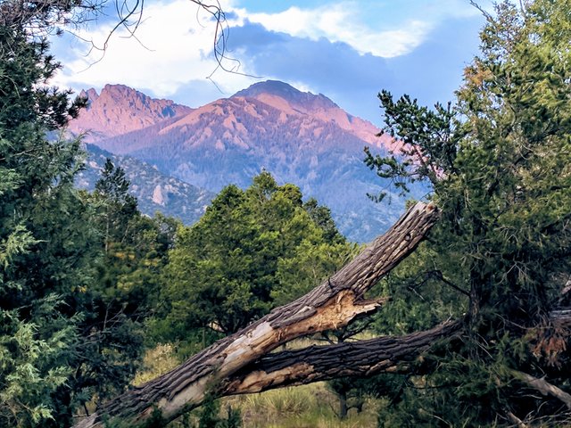 mtns from trail.jpg