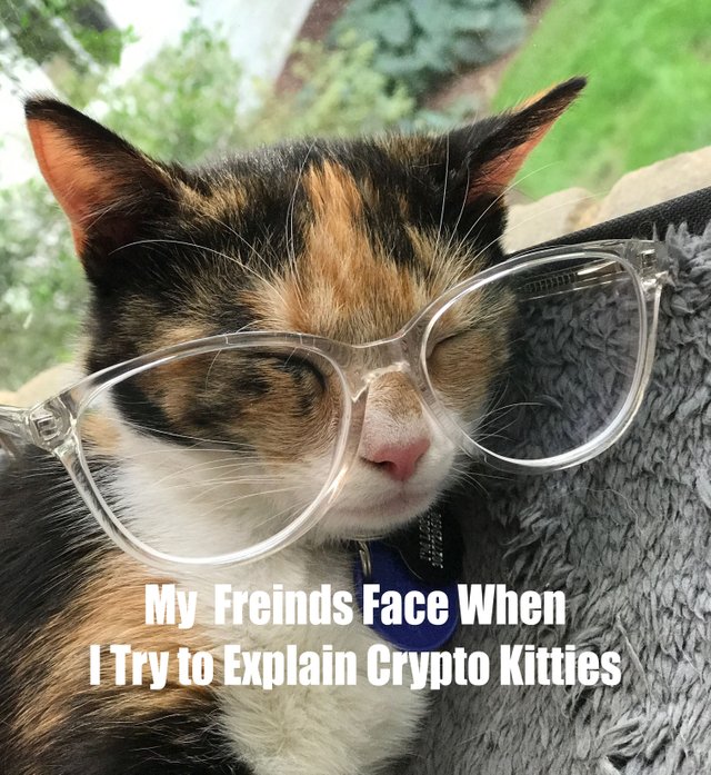 cryptokitties.jpg