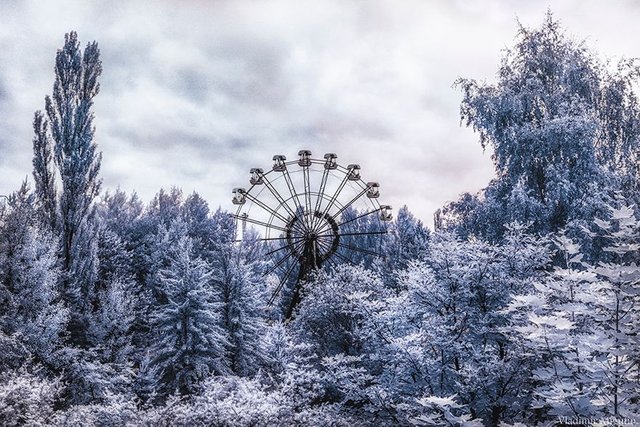 chernobyl-hpotographs-infrared-vladimir-migutin-9-5a747319acdee__880.jpg