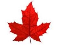 maple leaf - Copy.JPG