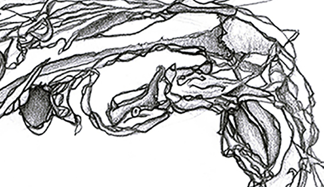 disegni_3_libro_penna_particolare_carlo_varchetta_grovigli_astratto_firmato.png