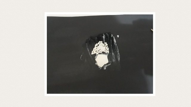 20180319_100155.jpg