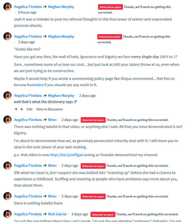 disqus-spam2.png