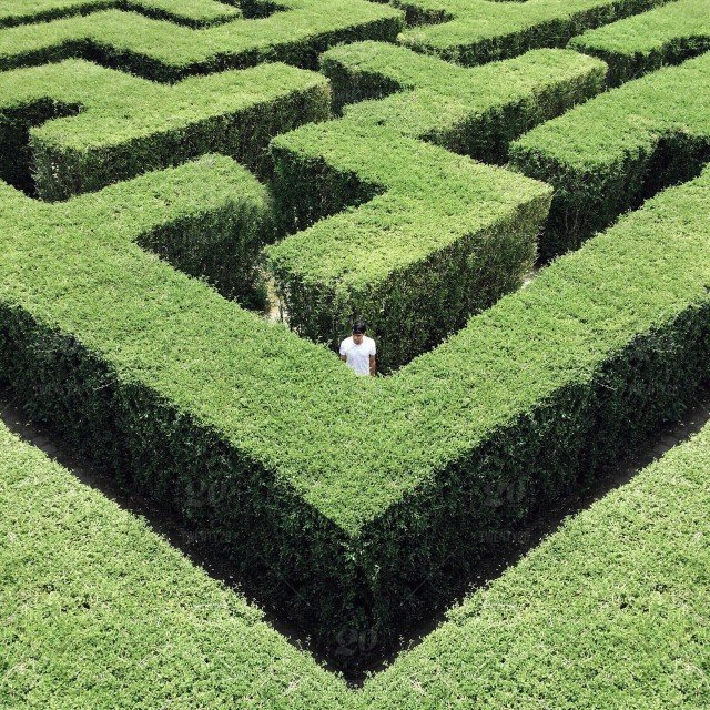 stock-photo-nature-photography-landscape-green-labyrinth-504970f7-aabd-4f0c-b89f-c36700510948.jpg