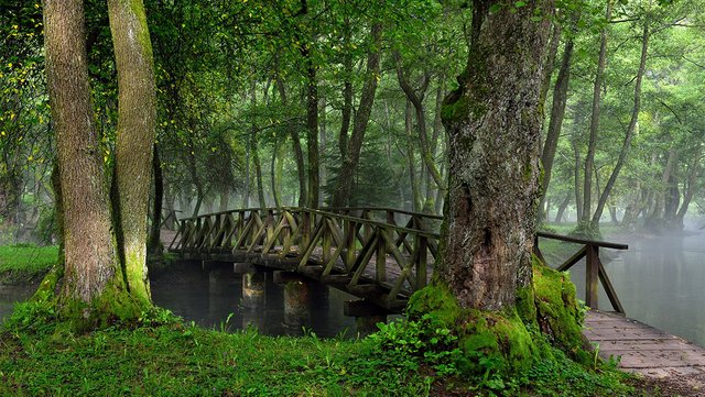 vrelo-bosne-1446466949.jpg