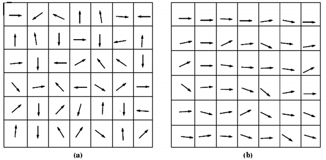 magnetic domain.png