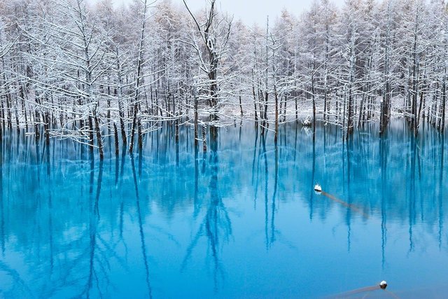 Blue-Pond-in-Hokkaido.-Japan.jpg