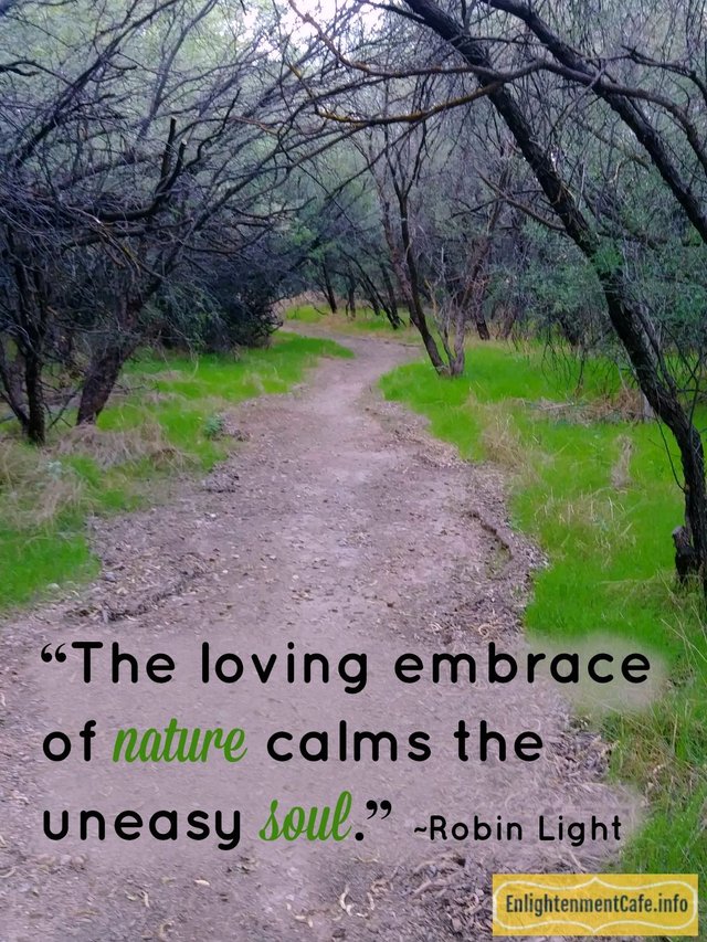 photo and quote by Robin LIght.jpg