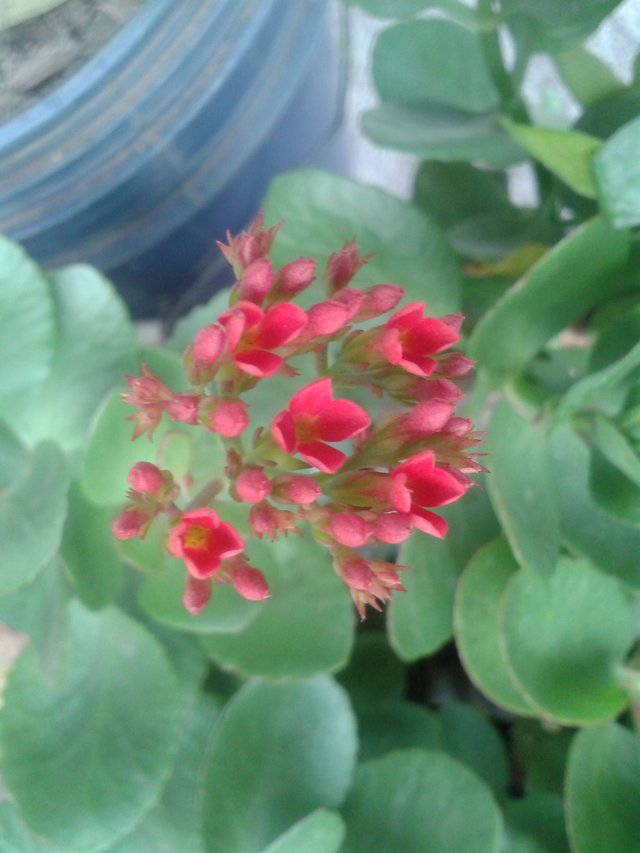 20180315_071533.jpg