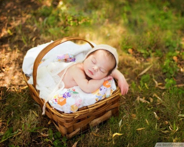 Tiny-Newborn-Baby-Sleeping-in-Basket-750x600.jpg