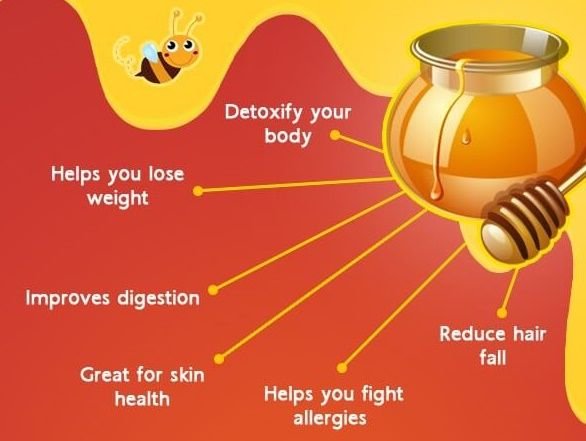 health-benefits-of-honey.jpg