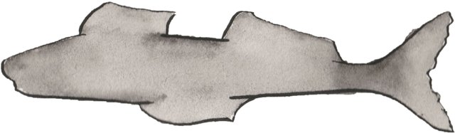 minnow.jpg