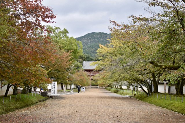 daigo-ji-1.jpg